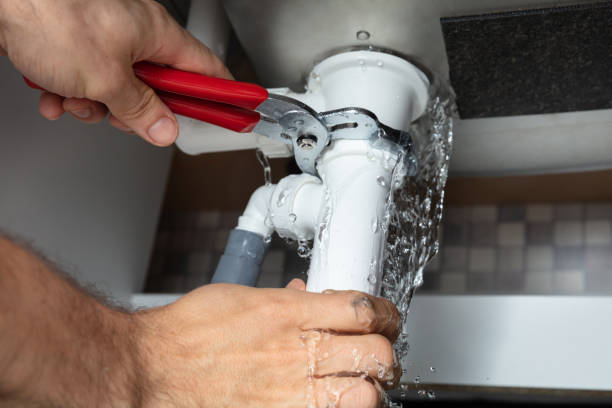 Best Mold removal after water damage  in Little River Academy, TX