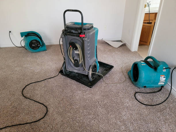  Little River Academy, TX Water damage restoration Pros
