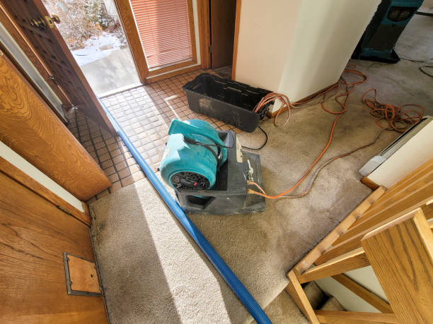 Little River Academy, TX Water damage restoration Company