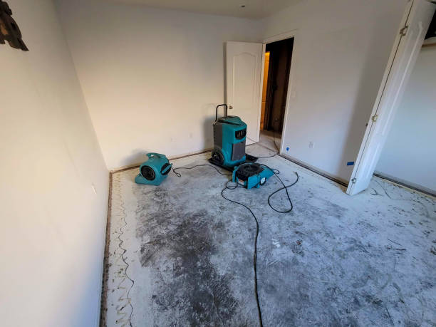 Trusted Little River Academy, TX Water damage restoration Experts