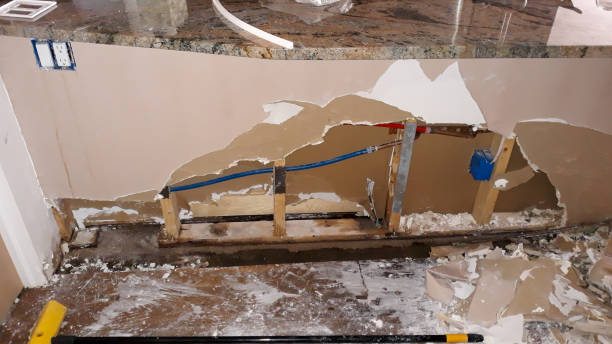 Best Mold removal after water damage  in Little River Academy, TX