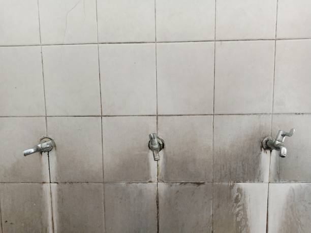 Sewage cleanup and water damage restoration in Little River Academy, TX