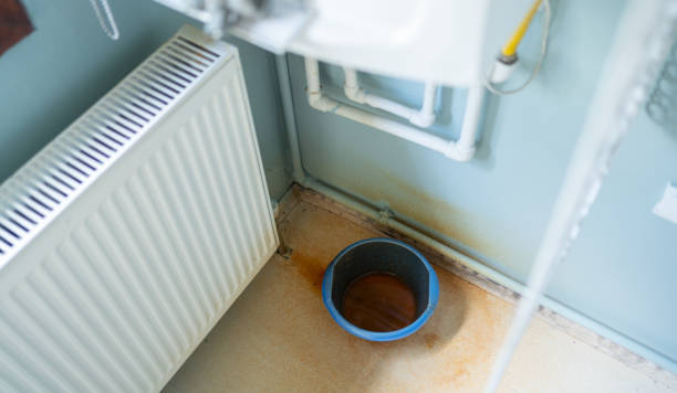 Water damage restoration mold remediation in Little River Academy, TX