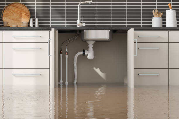 Best Flood restoration services  in Little River Academy, TX