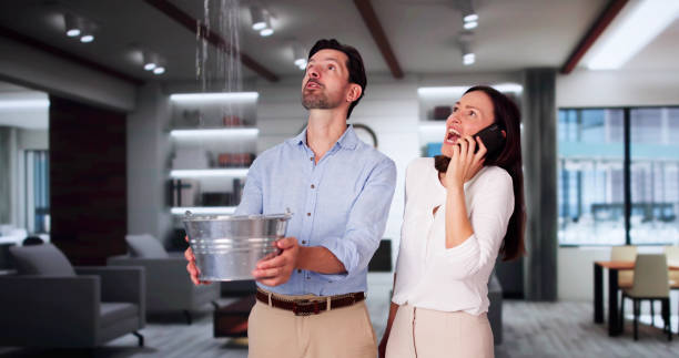 Best Water damage contractors near me  in Little River Academy, TX